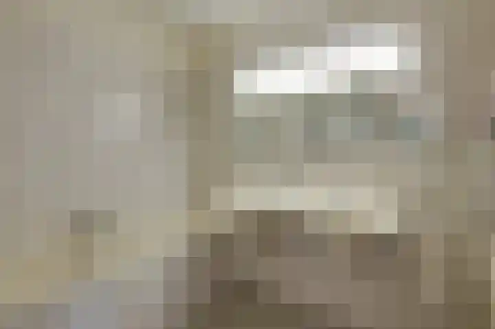 Overbeeksingel 4 Velp thumbnail 26