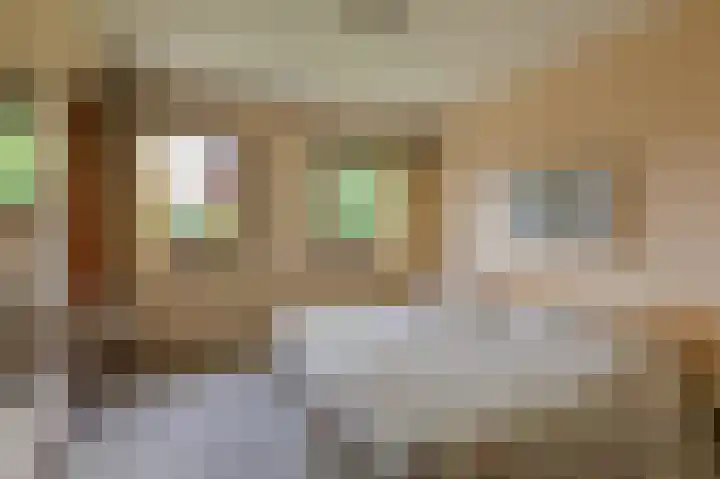 Overbeeksingel 4 Velp thumbnail 28