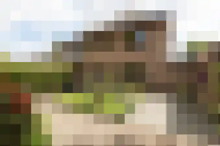 Overbeeksingel 4 Velp foto 3