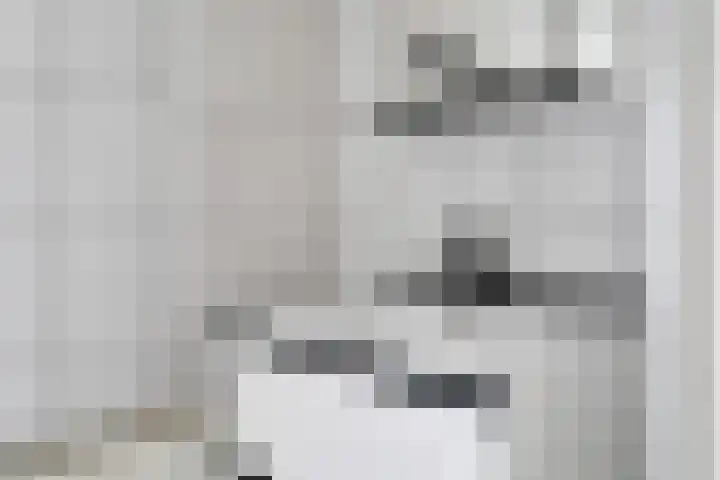 Overbeeksingel 4 Velp thumbnail 33