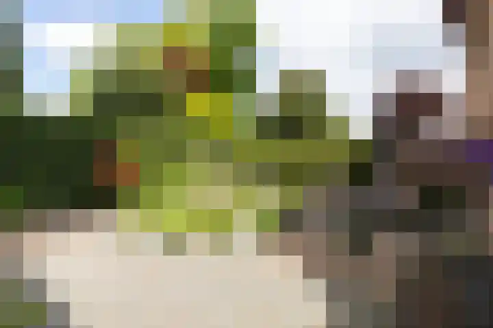Overbeeksingel 4 Velp thumbnail 4