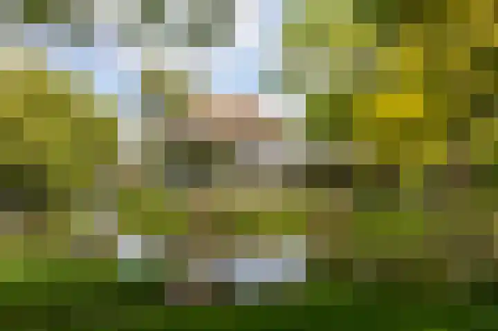 Overbeeksingel 4 Velp thumbnail 43