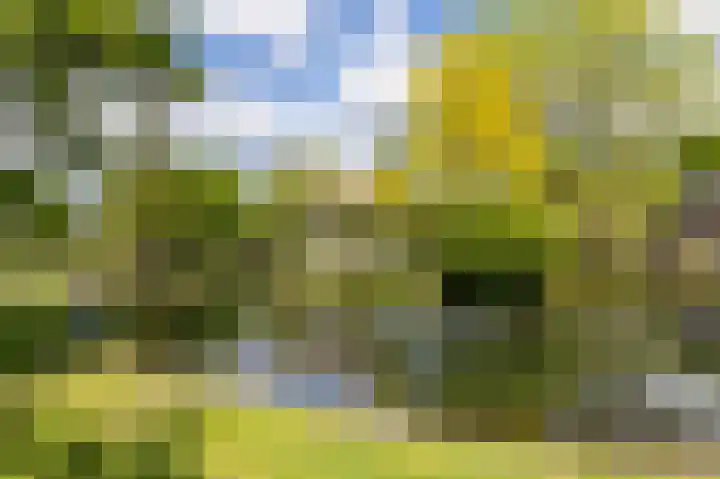 Overbeeksingel 4 Velp thumbnail 44