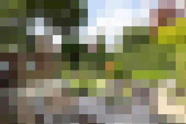 Overbeeksingel 4 Velp thumbnail 45