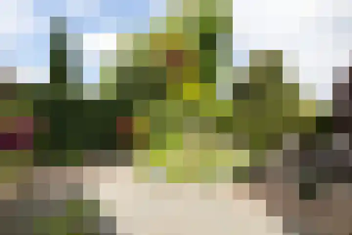 Overbeeksingel 4 Velp thumbnail 48