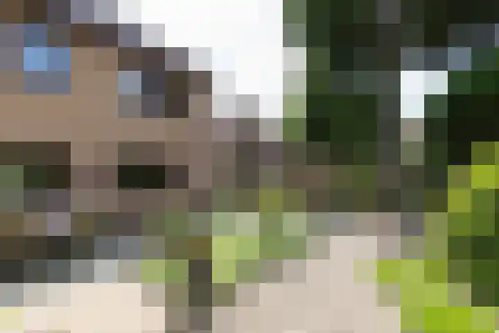 Overbeeksingel 4 Velp thumbnail 49