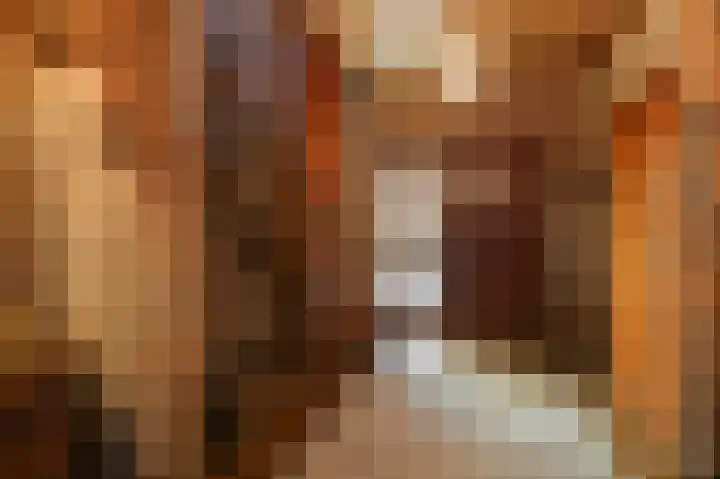 Overbeeksingel 4 Velp thumbnail 7