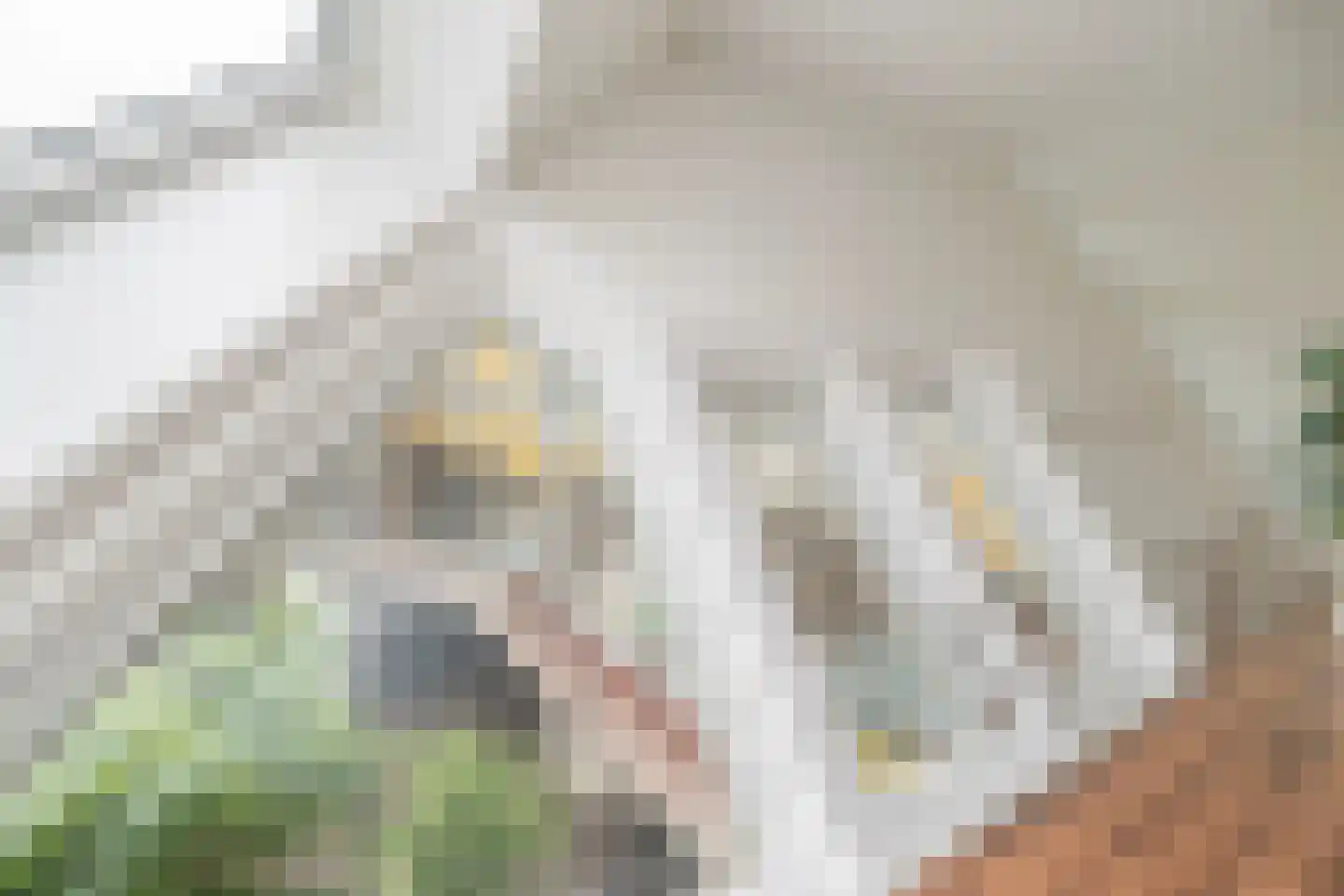 Overblaak 40 Rotterdam thumbnail 10