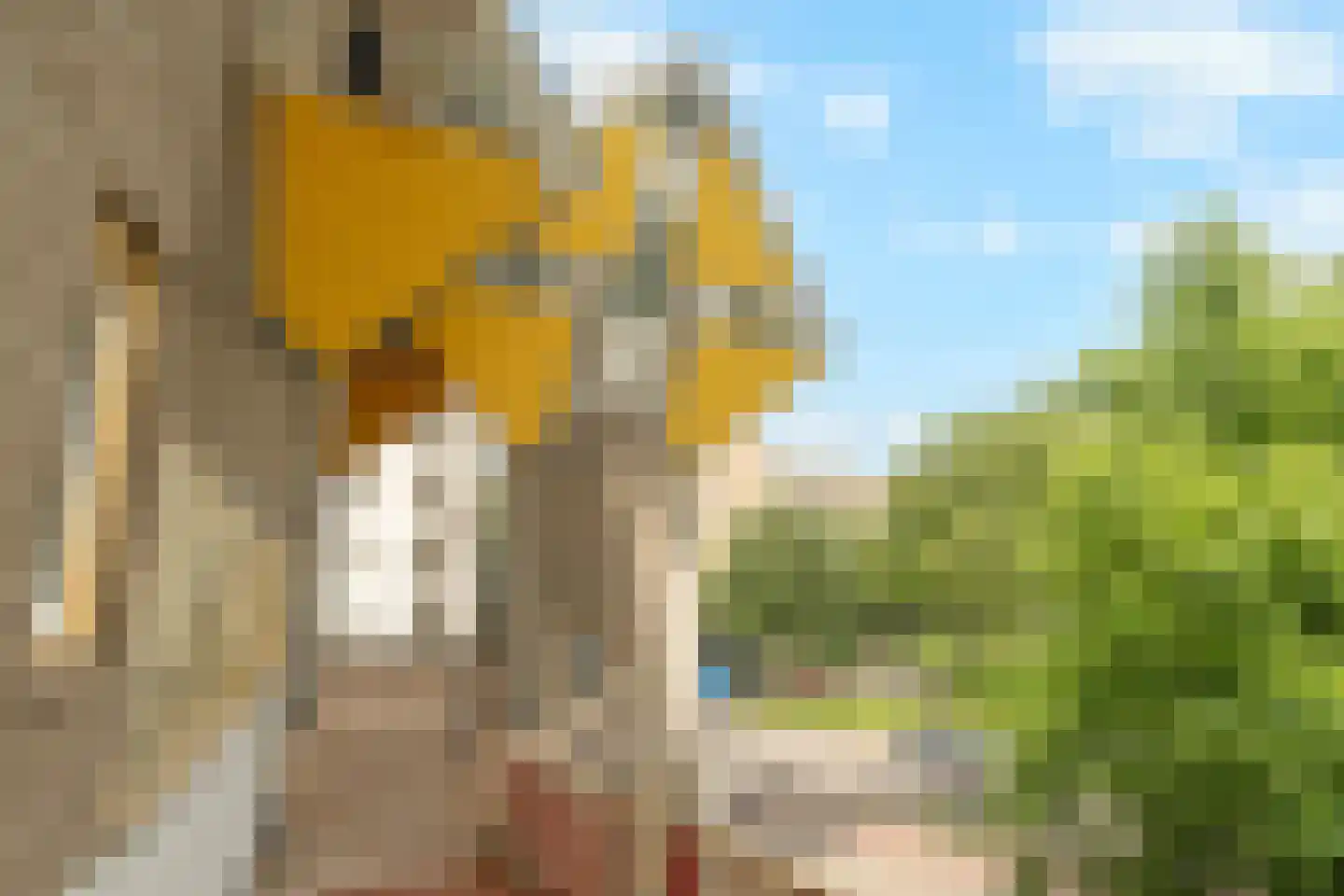 Overblaak 40 Rotterdam thumbnail 18