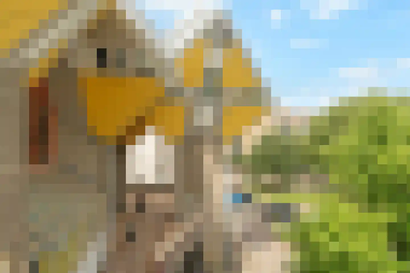 Overblaak 40 Rotterdam thumbnail 22