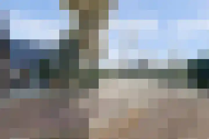 Overboeicop 14 Schoonrewoerd thumbnail 10