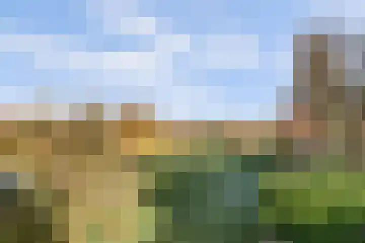 Overboeicop 14 Schoonrewoerd thumbnail 12