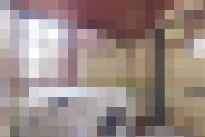 Overboeicop 14 Schoonrewoerd thumbnail 16