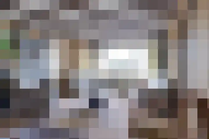 Overboeicop 14 Schoonrewoerd thumbnail 22