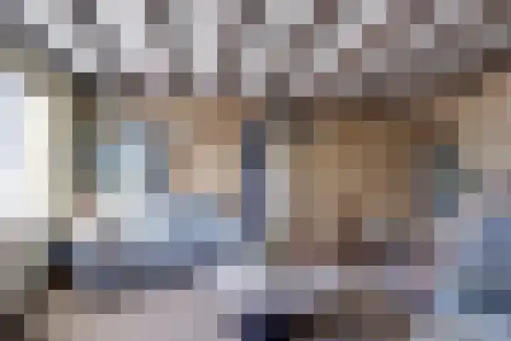 Overboeicop 14 Schoonrewoerd thumbnail 23