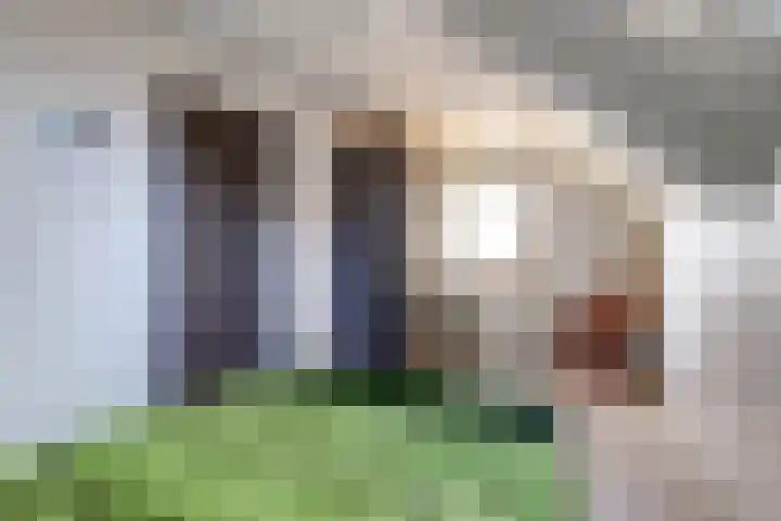Overboeicop 14 Schoonrewoerd thumbnail 25