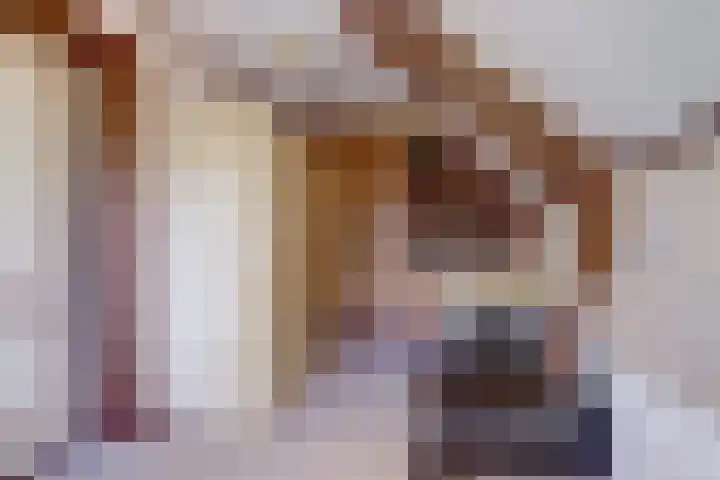 Overboeicop 14 Schoonrewoerd thumbnail 26