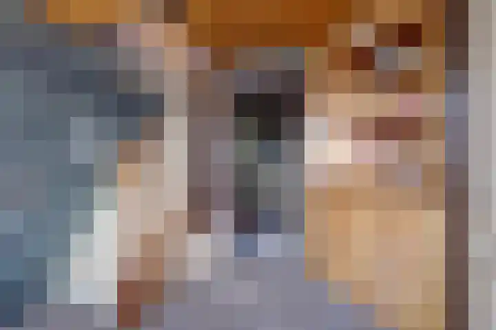 Overboeicop 14 Schoonrewoerd thumbnail 28