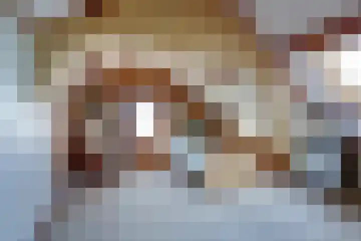 Overboeicop 14 Schoonrewoerd thumbnail 37