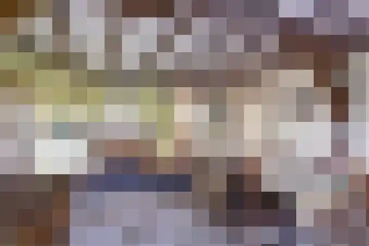 Overboeicop 14 Schoonrewoerd thumbnail 4
