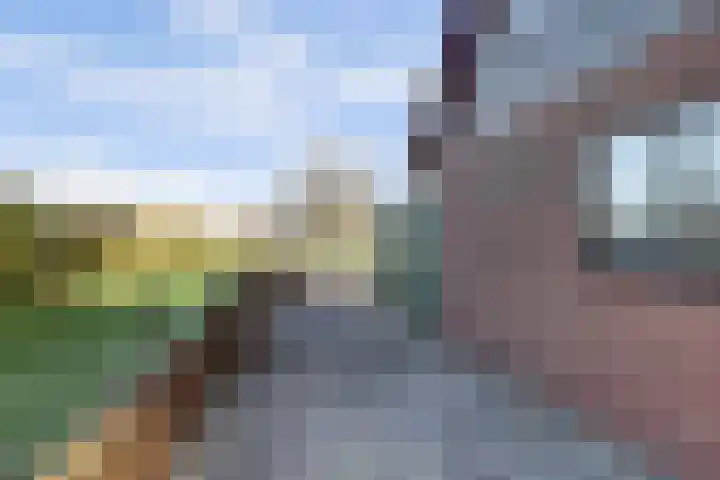Overboeicop 14 Schoonrewoerd thumbnail 41