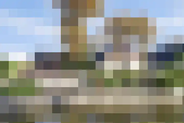 Overboeicop 14 Schoonrewoerd thumbnail 5