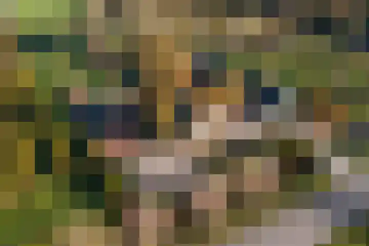 Overboeicop 14 Schoonrewoerd thumbnail 52