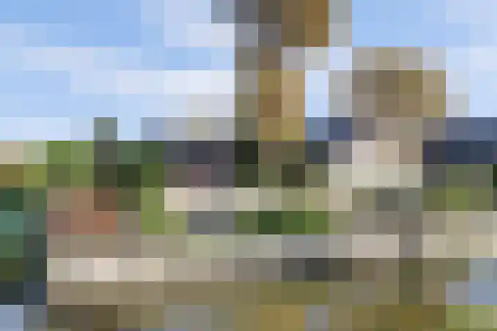 Overboeicop 14 Schoonrewoerd thumbnail 53
