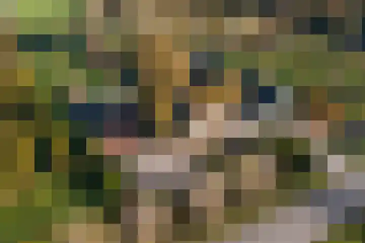 Overboeicop 14 Schoonrewoerd thumbnail 54