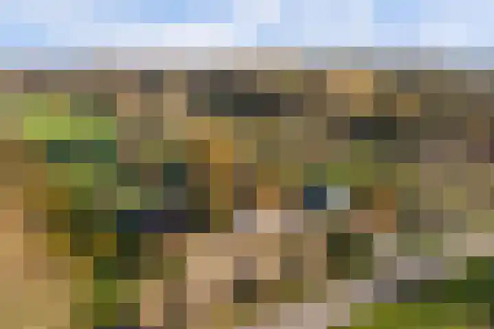Overboeicop 14 Schoonrewoerd thumbnail 55