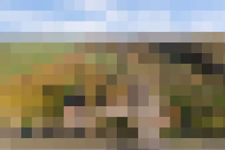 Overboeicop 14 Schoonrewoerd thumbnail 56
