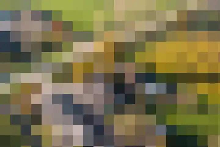 Overboeicop 14 Schoonrewoerd thumbnail 58