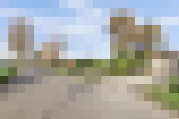 Overboeicop 14 Schoonrewoerd thumbnail 6