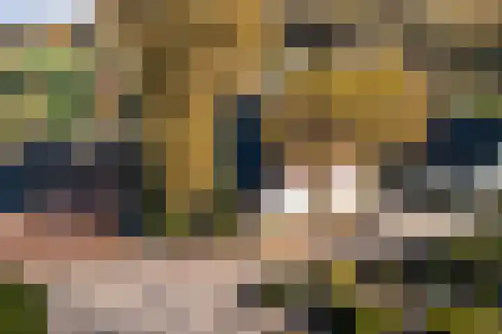 Overboeicop 14 Schoonrewoerd thumbnail 61
