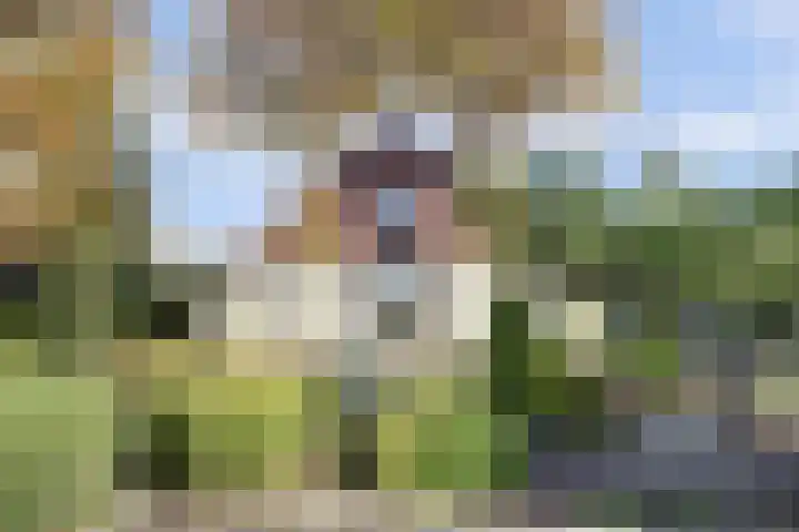 Overboeicop 14 Schoonrewoerd thumbnail 7