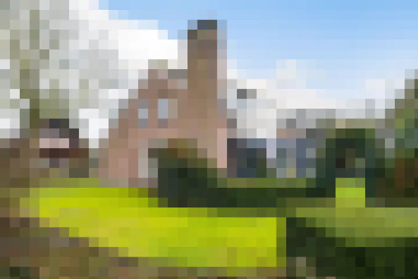 Overbosch 8 Renswoude