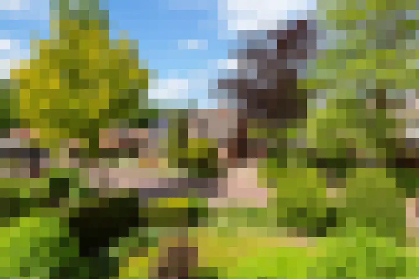 Overbosch 8 Renswoude thumbnail 37