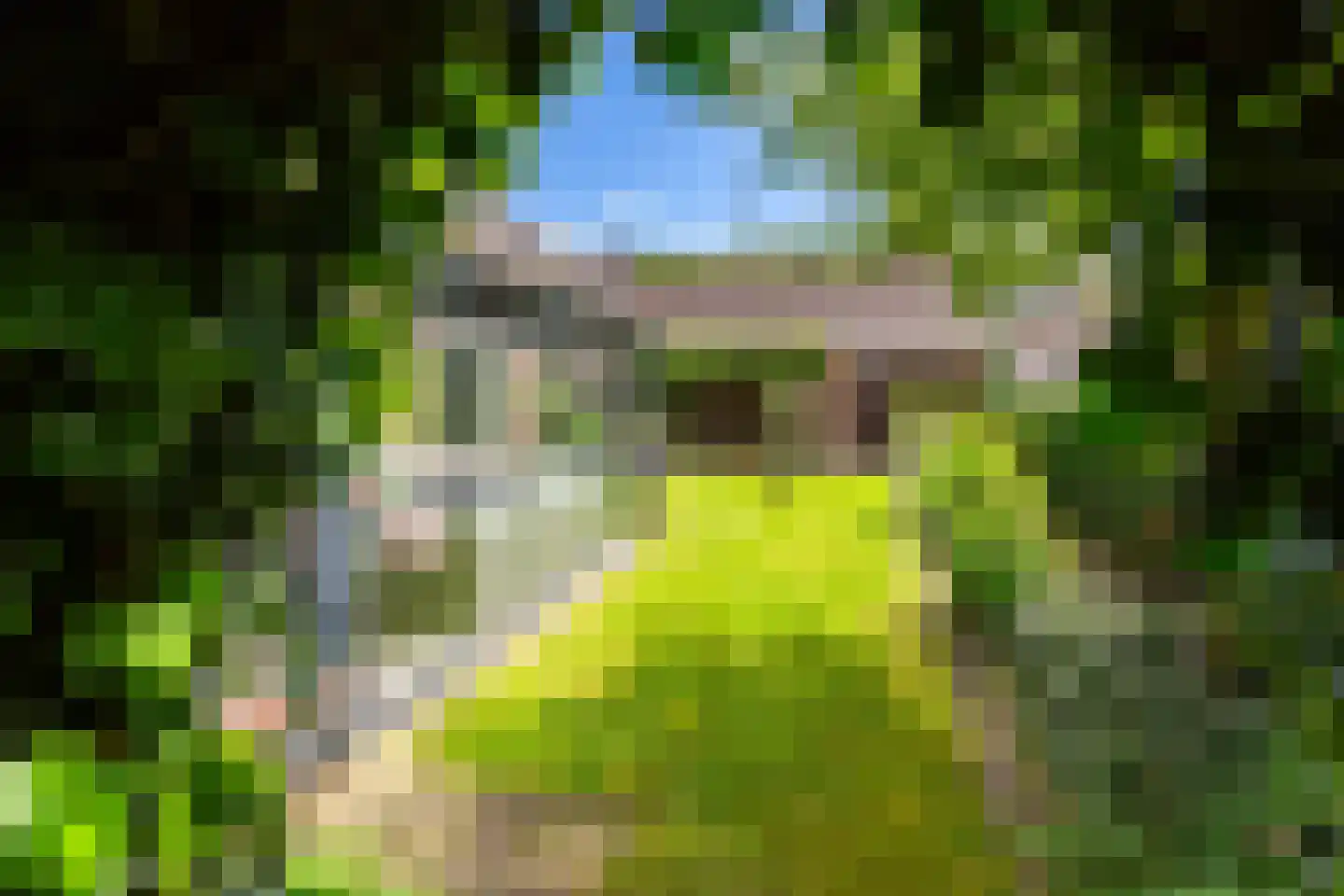 Overbosch 8 Renswoude thumbnail 38