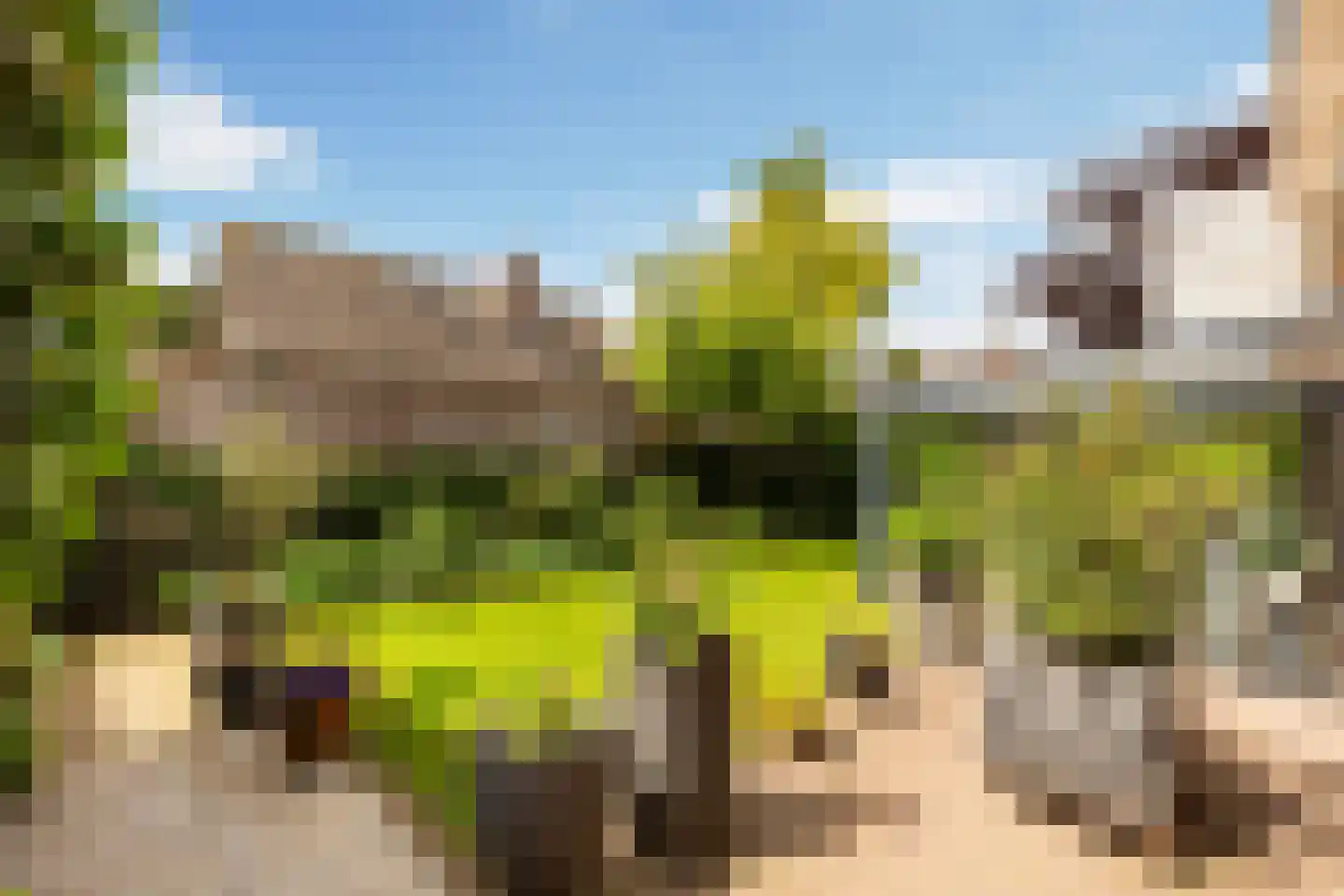 Overbosch 8 Renswoude thumbnail 39