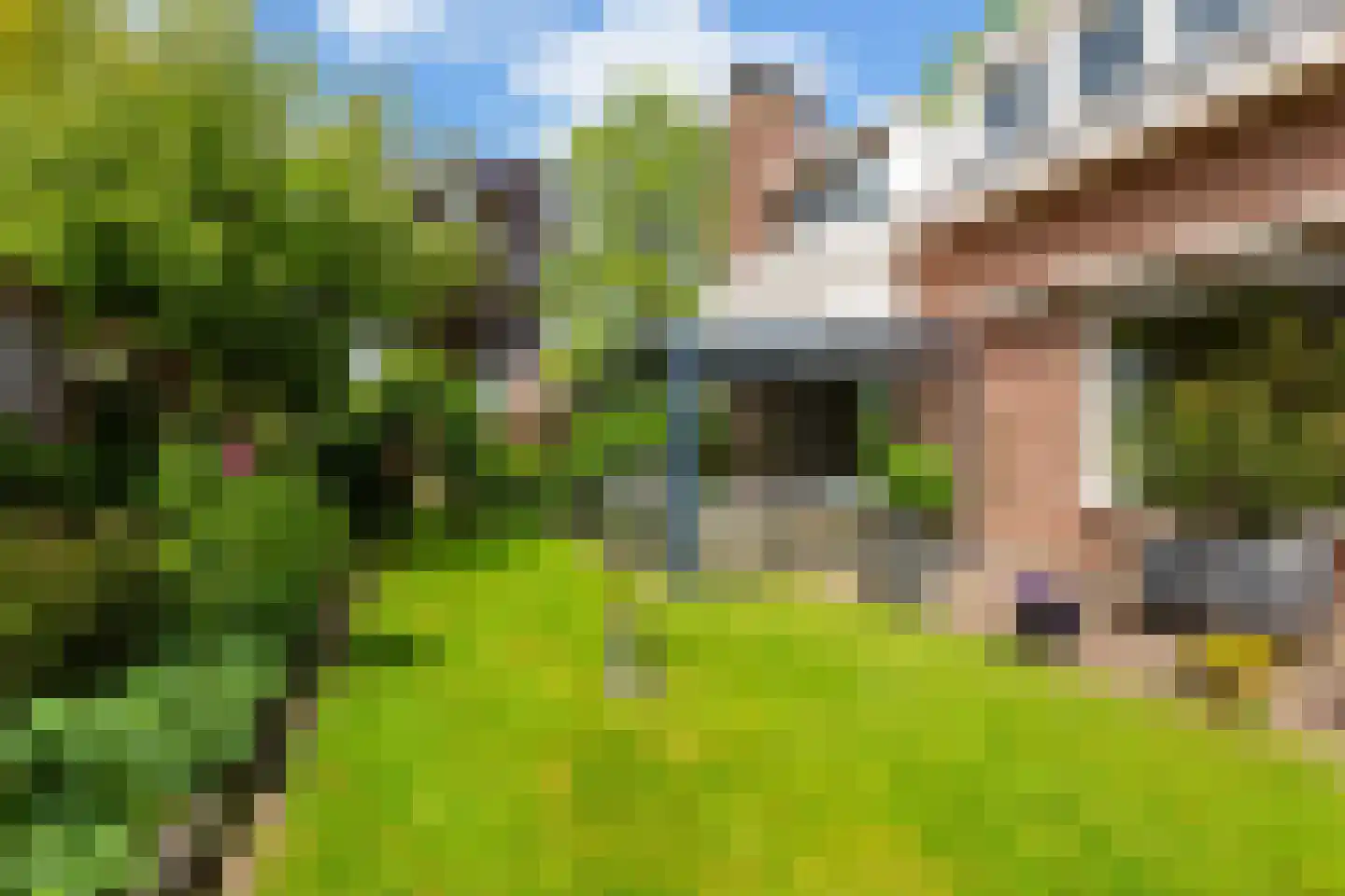Overbosch 8 Renswoude thumbnail 40