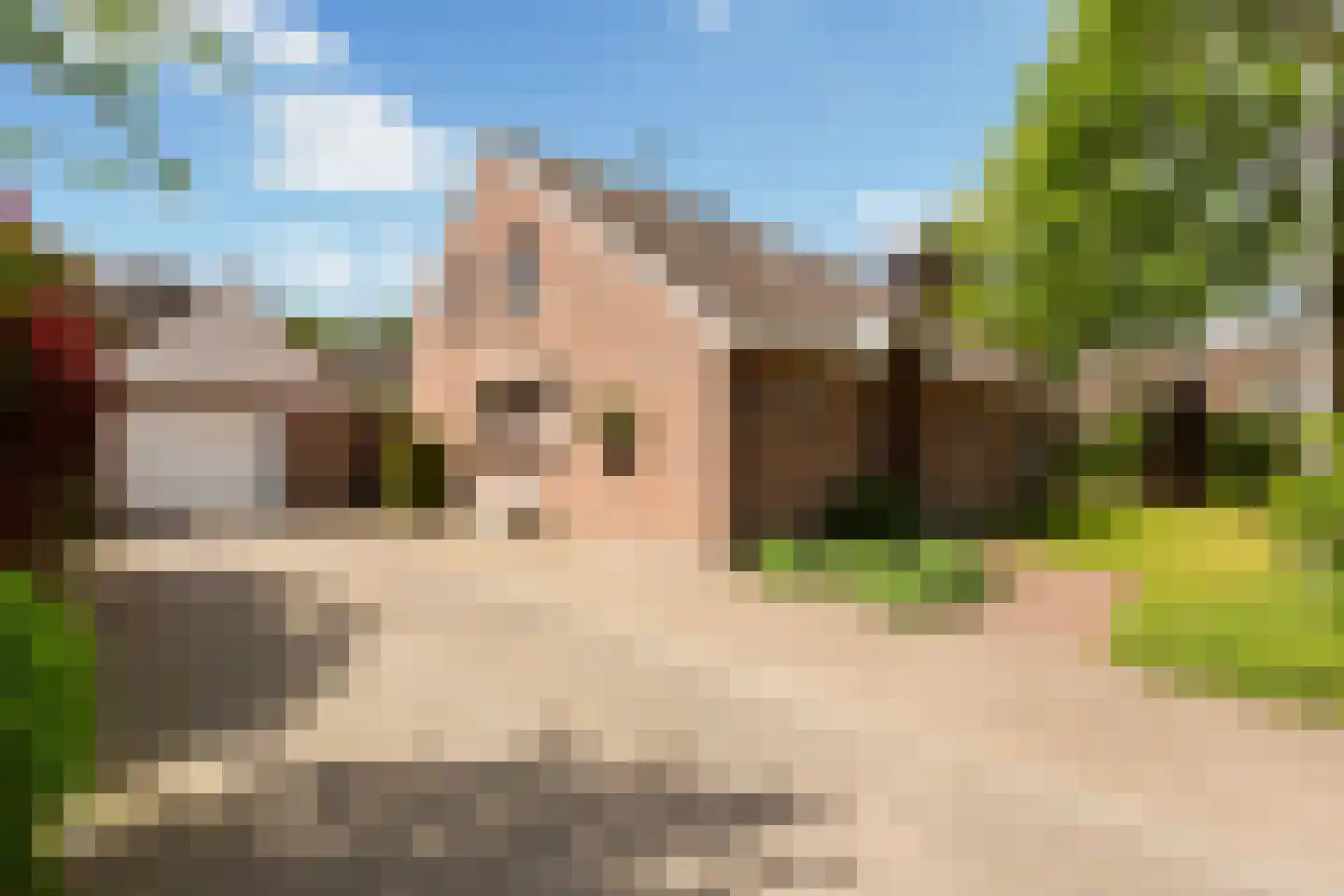 Overbosch 8 Renswoude thumbnail 43