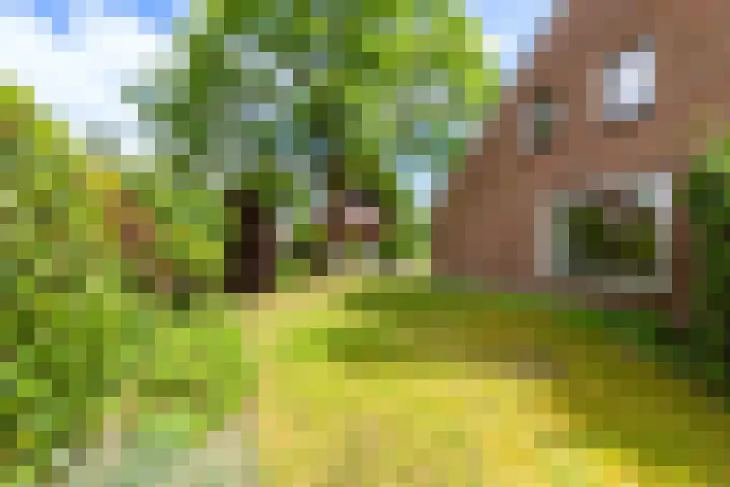 Overbosch 8 Renswoude thumbnail 48