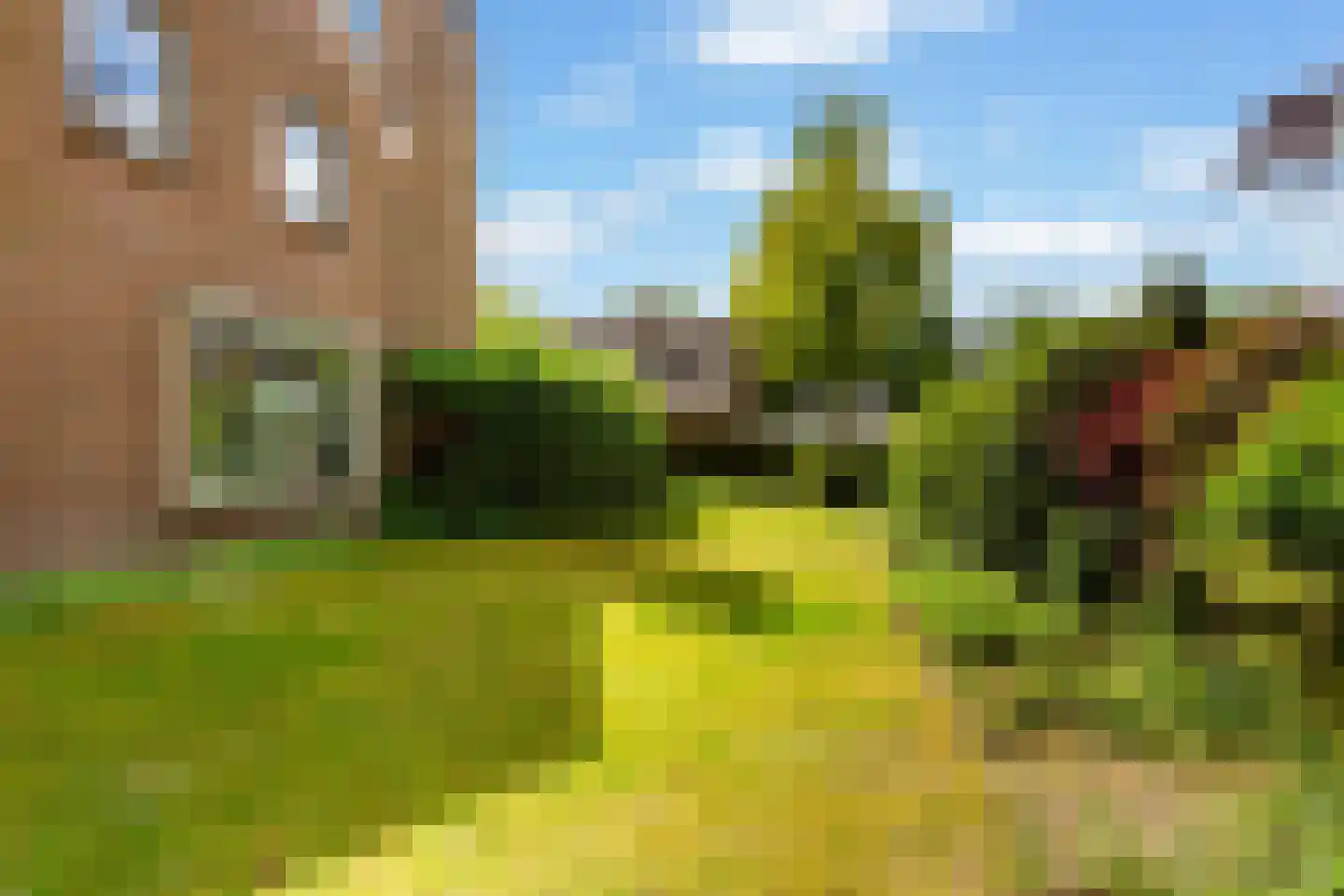 Overbosch 8 Renswoude thumbnail 49