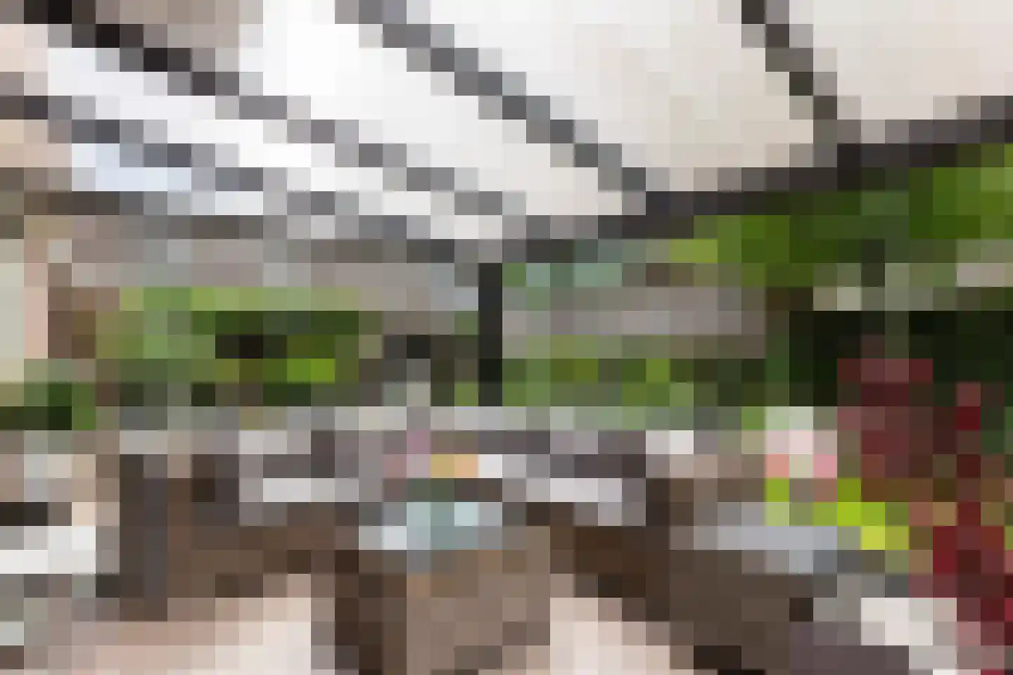 Overbosch 8 Renswoude thumbnail 5