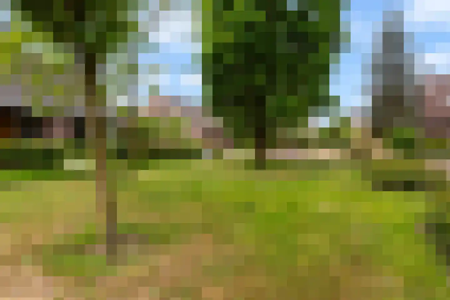 Overbosch 8 Renswoude thumbnail 52
