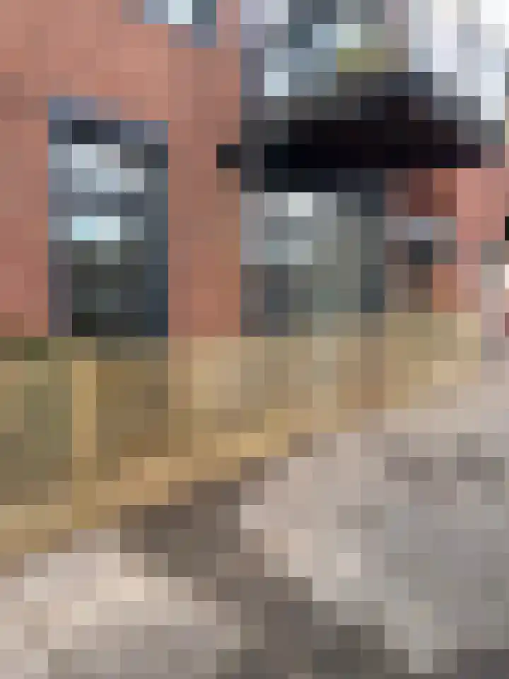 Overboslaan 18 Beverwijk thumbnail 28