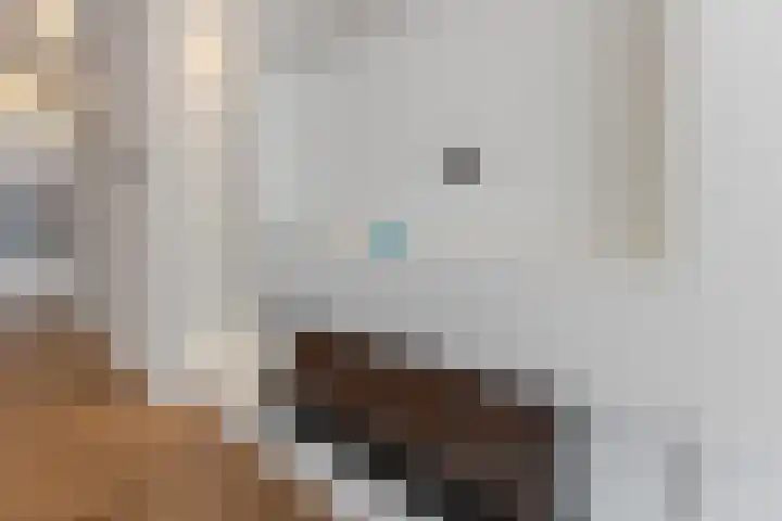 Overboslaan 18 Beverwijk thumbnail 8