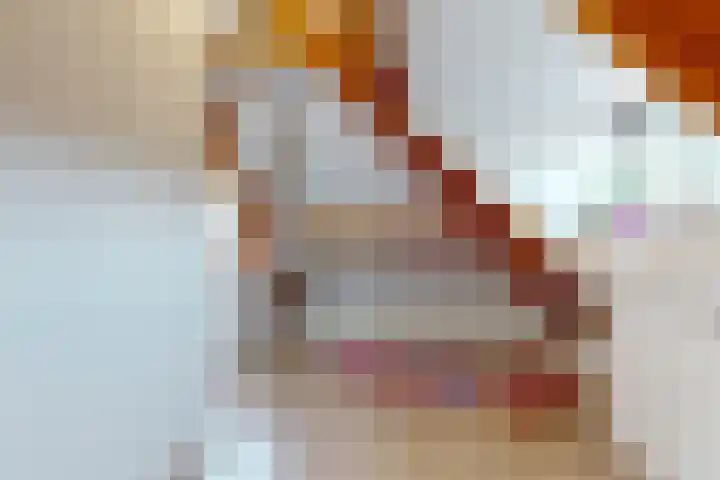 Overboslaan 20 Bilthoven thumbnail 42