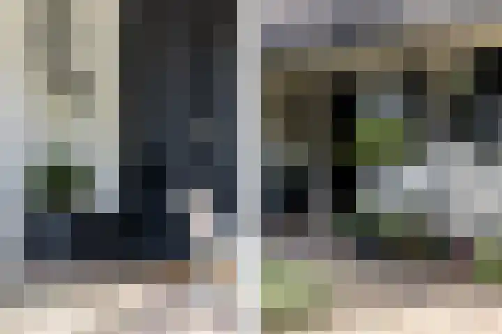 Overboslaan 20 Oostvoorne thumbnail 10
