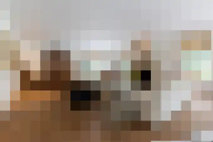 Overboslaan 20 Oostvoorne thumbnail 15